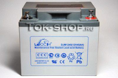 LEOCH DJM1245