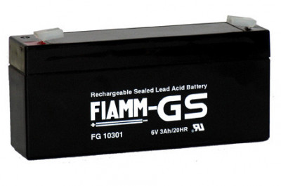 FIAMM FG 10301