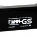 FIAMM FG 10301