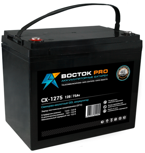 Восток PRO СХ-1275