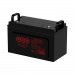 WBR Battery EVX 110-12G