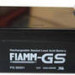 FIAMM FG 20341