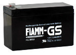 FIAMM FG 20721
