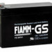 FIAMM FG 21202