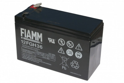 FIAMM 12FGH36