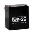 FIAMM 12FGHL22