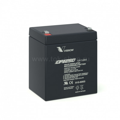 Vision CP1250