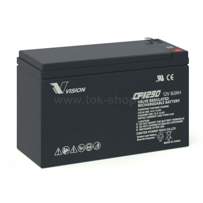 Vision CP1290