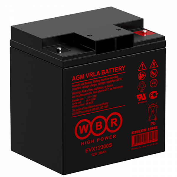 WBR Battery EVX 12300S