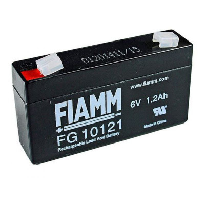 FIAMM FG 10121