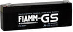 FIAMM FG 20201