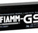 FIAMM FG 20201