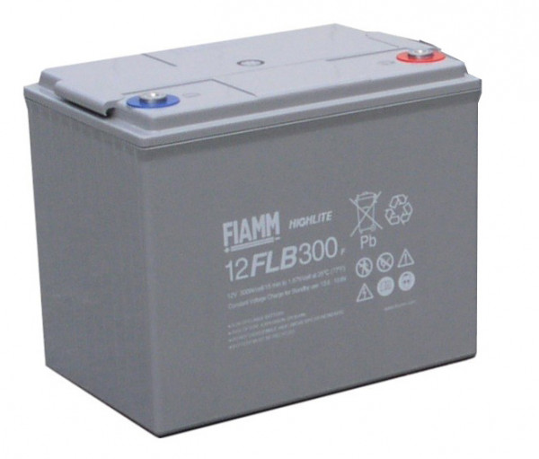 FIAMM 12 FLB 300